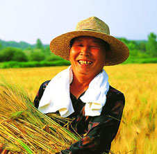 用吉姆克秸稈顆粒機(jī)，讓廢秸稈變大財(cái)富!