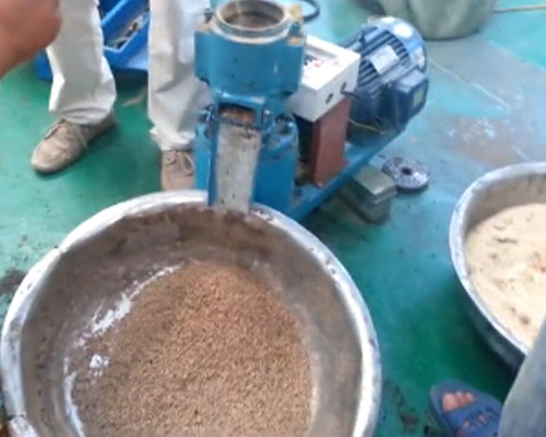 (實拍)秸稈飼料顆粒機(jī)視頻